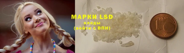 ECSTASY Пересвет