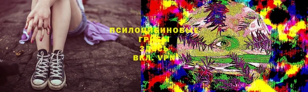 герыч Алзамай