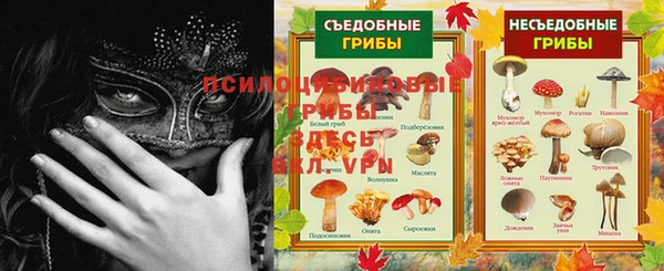 прущие грибы Покровск